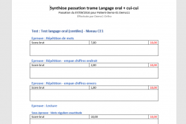 Capture Synthese Passation